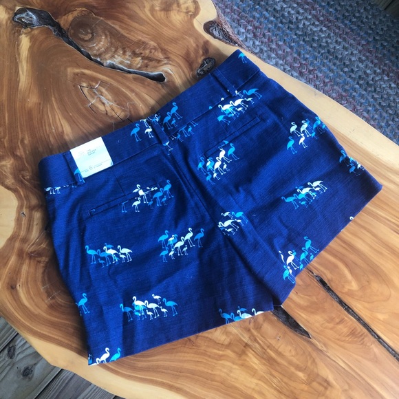 Loft | Riviera Short - Picture 5 of 7